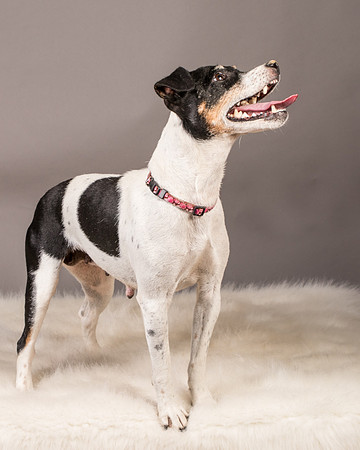 Foster Pollyanna-3934