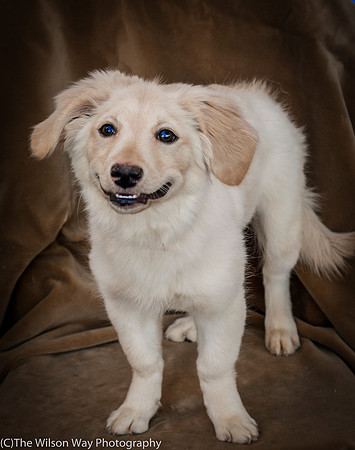 Foster Stephanie-9664