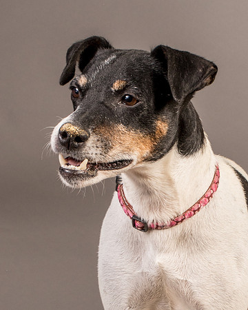 Foster Pollyanna-3956