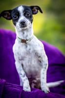 Foster Haylie-4059