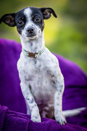 Foster Haylie-4059