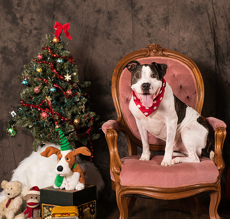 Foster Duke-0521