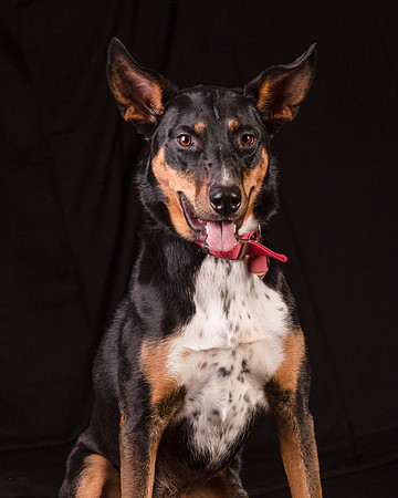 Foster Mia-1252