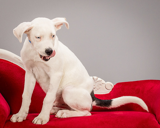 Foster Alvin-4729