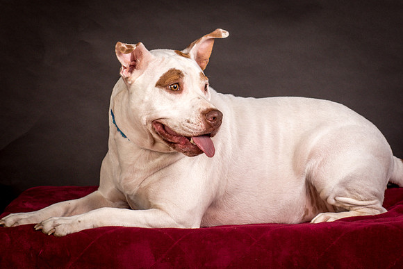 Foster Joanie-0483