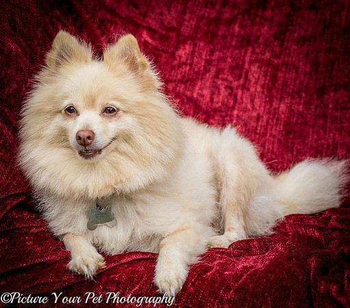 Foster Laverne-6224