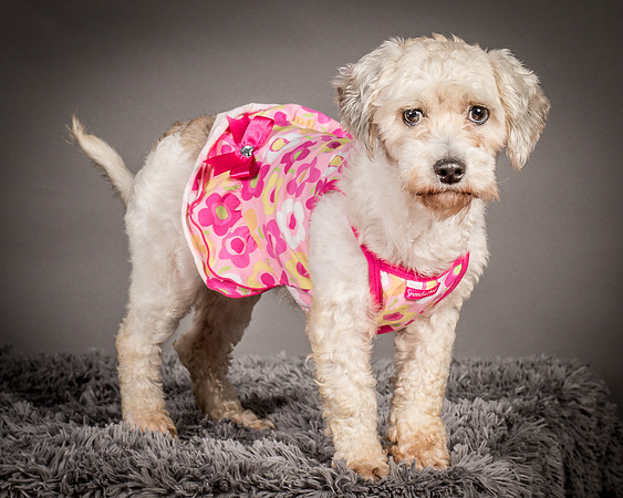Foster Everly-2266
