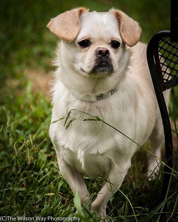 Foster Bonnie-3442