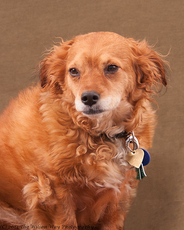 Foster Taya-7068