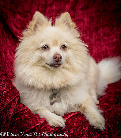 Foster Laverne-6238