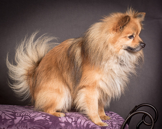 Foster Zane-1361