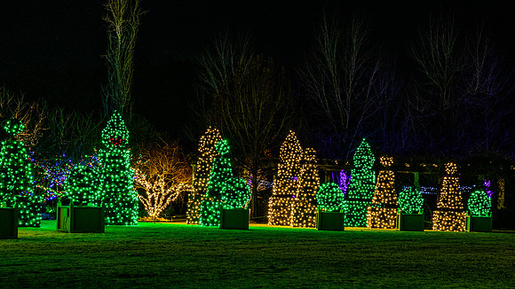 Christmas-2931