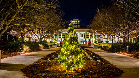 Christmas-2954