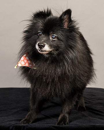 Foster Wayne-7791