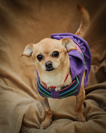 Foster Mirah-7828