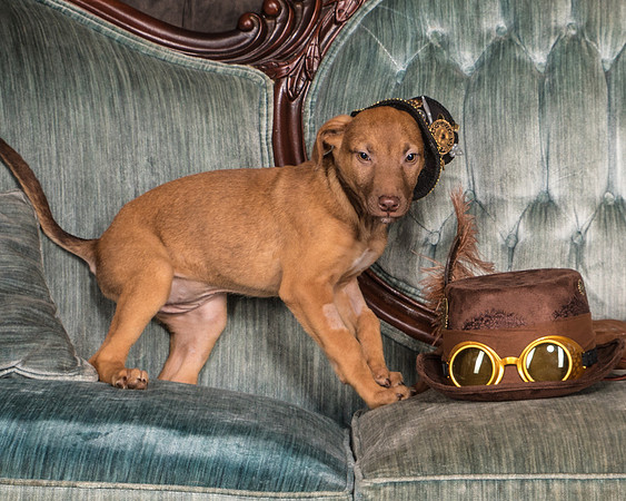 Foster Bronwyn-8305