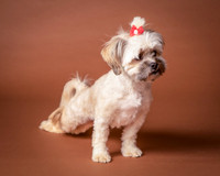 Foster Frida-9756