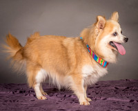 Foster Lilly-3248