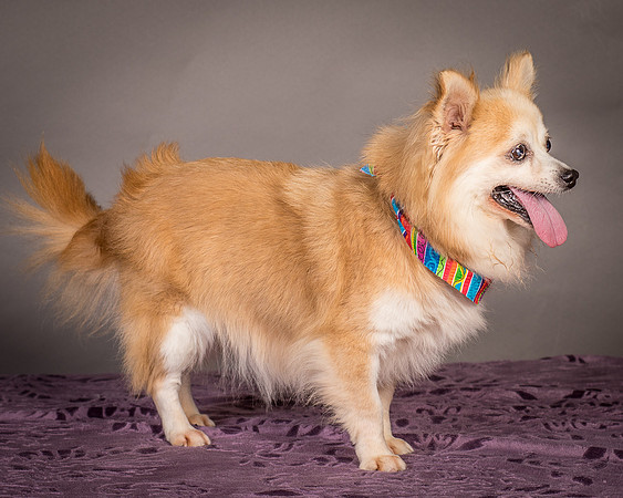 Foster Lilly-3248