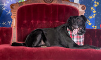 Foster Beatrice-3982
