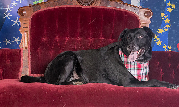 Foster Beatrice-3982