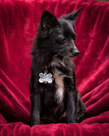Foster Julio-8488