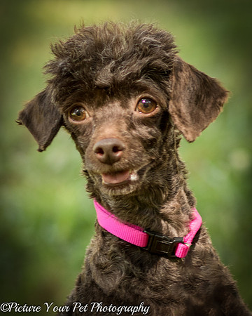 Foster Edna-2879