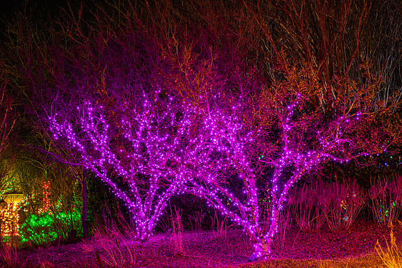 Christmas-2602