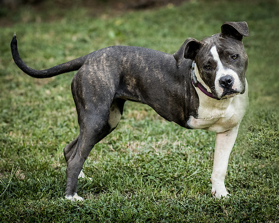 Foster Maya-0187