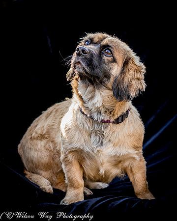 Foster Trudy-12