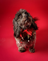 Frankie-8042