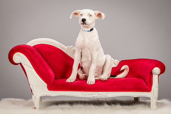 Foster Alvin-4730