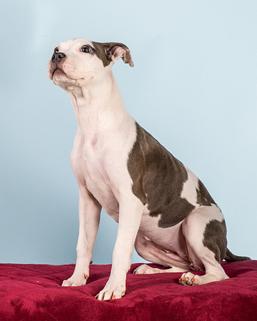 Foster Luna-4697