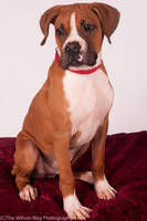 Foster Lenny-3010