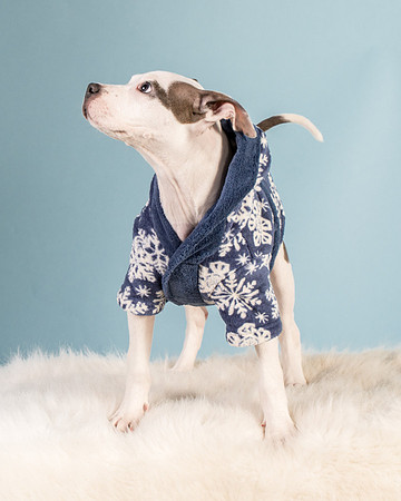 Foster Luna-4769
