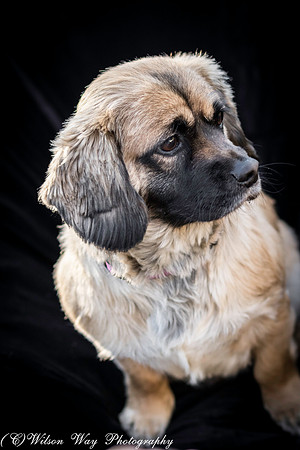 Foster Trudy-15