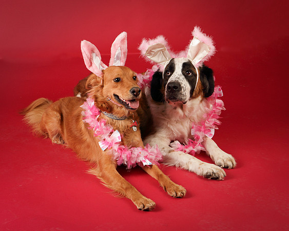 Ollie and Heidi-8326