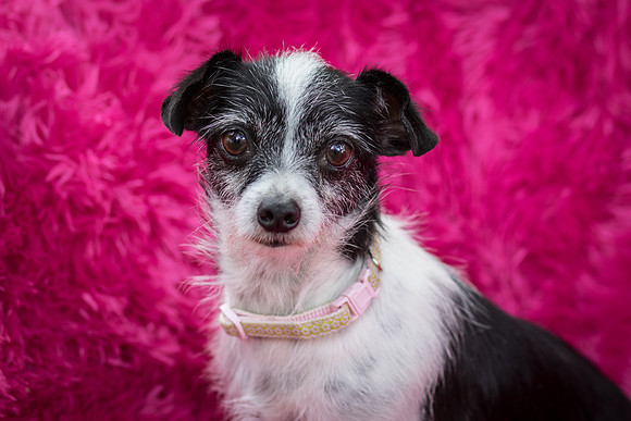 Foster Olive-7598