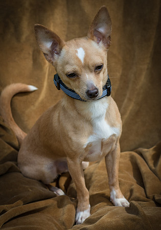 Foster Tony-8858