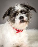 Foster Leeza-2562