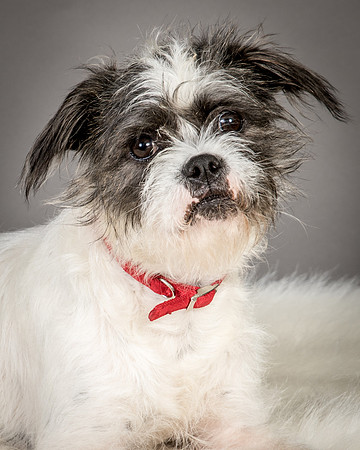 Foster Leeza-2562