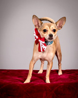 Foster Crouton-3927