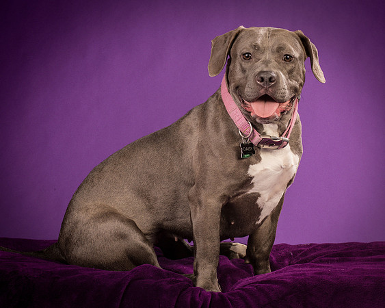 Daisy and Renegade-2557