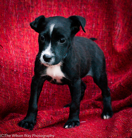 Foster Blythe-3897