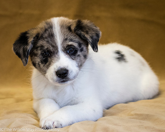 Foster Mira Jane-0330