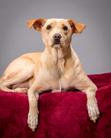 Foster June-3494