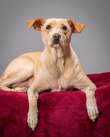 Foster June-3494