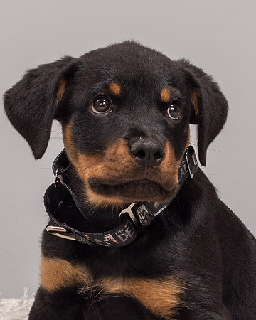 Foster Titus-7697