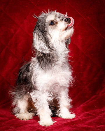 Foster Alex-6289