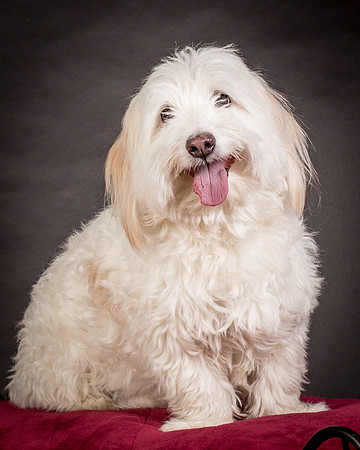 Foster Frosty-0573